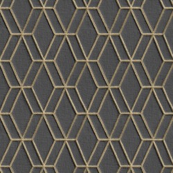 DUTCH WALLCOVERINGS Tapete Sechseckmuster Schwarz und Golden