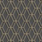 DUTCH WALLCOVERINGS Tapete Sechseckmuster Schwarz und Golden DUTCH WALLCOVERINGS Tapete Sechseckmuster Schwarz und Golden