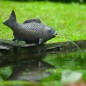 Ubbink Wasserspeier Fisch Ubbink Wasserspeier Fisch