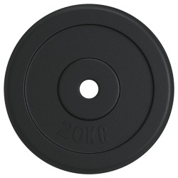 vidaXL Hantelscheibe 20 kg Gusseisen