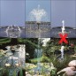 Ubbink Teich- & Springbrunnenpumpe Elimax 500 1351300 Ubbink Teich- & Springbrunnenpumpe Elimax 500 1351300