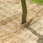 Nature Winterschutz Reisstrohmatte 1 x 1,5 m 6030105 Nature Winterschutz Reisstrohmatte 1 x 1,5 m 6030105