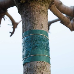 Nature Insektenfalle Klebeband 150 cm 6060134