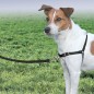 PetSafe Hundegeschirr Easy Walk S Schwarz PetSafe Hundegeschirr Easy Walk S Schwarz