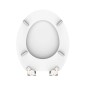 SCHÜTTE WC-Sitz WHITE Holzkern SCHÜTTE WC-Sitz WHITE Holzkern