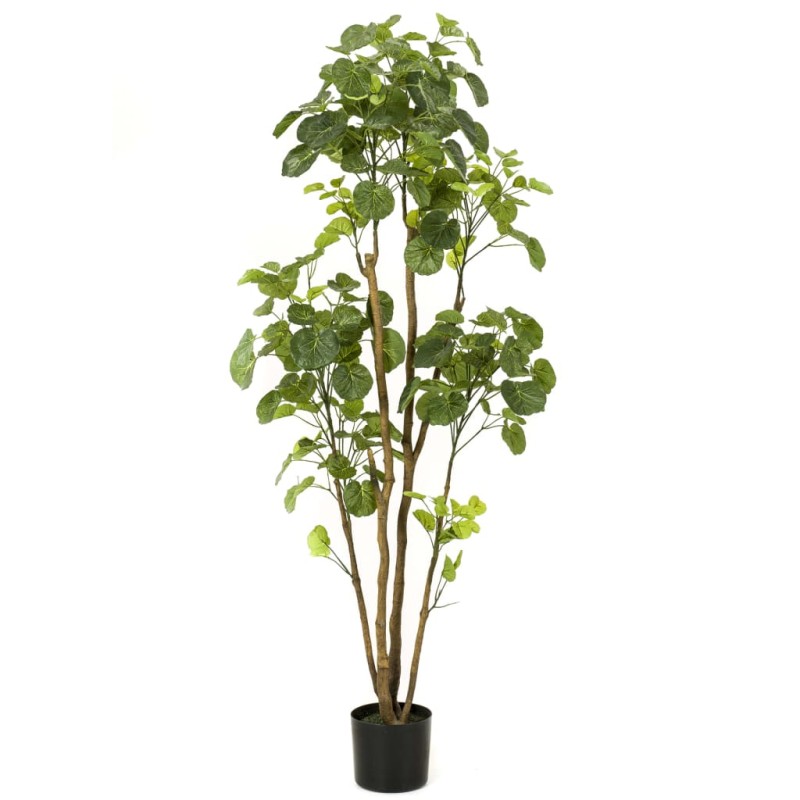 Emerald Kunstpflanze Fiederaralien im Topf 160 cm Emerald Kunstpflanze Fiederaralien im Topf 160 cm