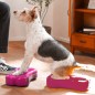 FitPAWS Gleichgewichtstrainer Mini K9FITbone 2 Stk. 29x16,5x6 cm FitPAWS Gleichgewichtstrainer Mini K9FITbone 2 Stk. 29x16,5x6 cm