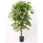 Emerald Künstlicher Ficus-Weinbaum Deluxe im Topf 140 cm Emerald Künstlicher Ficus-Weinbaum Deluxe im Topf 140 cm