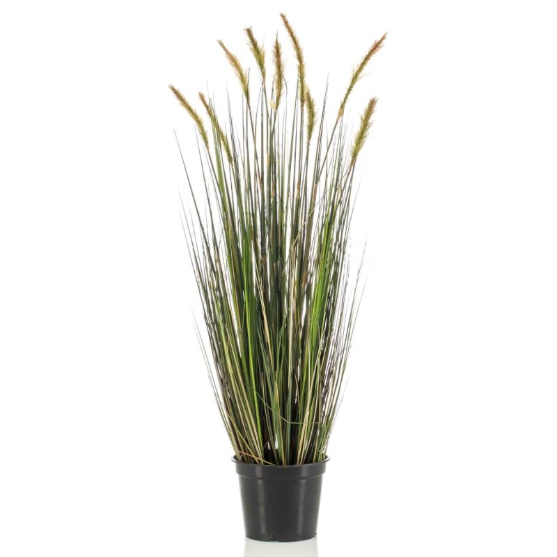Emerald Künstliches Fuchsschwanzgras im Topf 90 cm Emerald Künstliches Fuchsschwanzgras im Topf 90 cm
