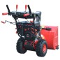 vidaXL Zweistufige Schneefräse Elektrischer/Manueller Start 11 PS 302 ccm vidaXL Zweistufige Schneefräse Elektrischer/Manueller Start 11 PS 302 ccm