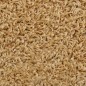vidaXL Stufenmatten 5 Stk. 56x20 cm Creme vidaXL Stufenmatten 5 Stk. 56x20 cm Creme