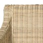 Esszimmerstühle mit Kissen 2 Stk. Natur Rattan Esszimmerstühle mit Kissen 2 Stk. Natur Rattan