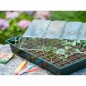 Nature Mini Gewächshaus Set 7x11 Zellen Nature Mini Gewächshaus Set 7x11 Zellen