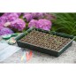 Nature Mini Gewächshaus Set 7x11 Zellen Nature Mini Gewächshaus Set 7x11 Zellen