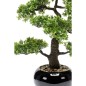 Emerald Kunstpflanze Bonsai Ficus Grün 47 cm 420006 Emerald Kunstpflanze Bonsai Ficus Grün 47 cm 420006