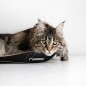 MyKotty Katzen-Kratzmöbel TOBI 59 x 25 x 6,9 cm Schwarz 3089 MyKotty Katzen-Kratzmöbel TOBI 59 x 25 x 6,9 cm Schwarz 3089