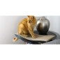 MyKotty Katzen-Kratzmöbel TOBI 59 x 25 x 6,9 cm Schwarz 3089 MyKotty Katzen-Kratzmöbel TOBI 59 x 25 x 6,9 cm Schwarz 3089