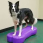 FitPAWS Haustier-Balancierscheibe Giant K9FITbone PVC Lila FitPAWS Haustier-Balancierscheibe Giant K9FITbone PVC Lila