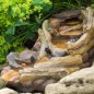 Ubbink Gartenwasserfall REVETON Rechtsläufig Ubbink Gartenwasserfall REVETON Rechtsläufig