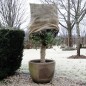 Nature Winterschutz Jute 230 g/m² Natur 0,75x1 m Nature Winterschutz Jute 230 g/m² Natur 0,75x1 m