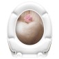 SCHÜTTE Toilettensitz mit Absenkautomatik ROMANTIC Duroplast Bedruckt SCHÜTTE Toilettensitz mit Absenkautomatik ROMANTIC Duroplast Bedruckt