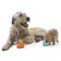 West Paw Hundespielzeug mit Zogoflex Tux Orange L West Paw Hundespielzeug mit Zogoflex Tux Orange L