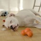 West Paw Hundespielzeug mit Zogoflex Tux Orange L West Paw Hundespielzeug mit Zogoflex Tux Orange L