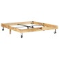 vidaXL Massivholzbett Mango 160x200 cm vidaXL Massivholzbett Mango 160x200 cm