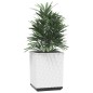 vidaXL Pflanzkübel 4 Stk. Weiß 30x30x37 cm Polypropylen vidaXL Pflanzkübel 4 Stk. Weiß 30x30x37 cm Polypropylen