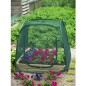 Nature Pop-up Gewächshaus 100 x 100 x 100 cm 6020409 Nature Pop-up Gewächshaus 100 x 100 x 100 cm 6020409