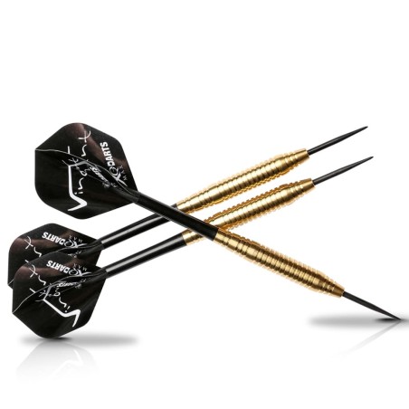 XQmax Darts Dartpfeile VvdV 20g Messing QD3000020