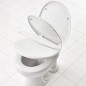 RIDDER WC-Sitz mit Absenkautomatik Premium Weiß A0070700 RIDDER WC-Sitz mit Absenkautomatik Premium Weiß A0070700