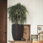 Capi Blumentopf Nature Rib Elegant Niedrig 46 x 58 cm Schwarz KBLR783 Capi Blumentopf Nature Rib Elegant Niedrig 46 x 58 cm Schwarz KBLR783