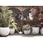 Capi Blumentopf Nature Row Oval 54 x 52 cm Elfenbeinfarben KRWI935 Capi Blumentopf Nature Row Oval 54 x 52 cm Elfenbeinfarben KRWI935