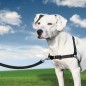 PetSafe Hundegeschirr Easy Walk M Schwarz PetSafe Hundegeschirr Easy Walk M Schwarz