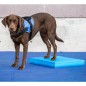 FitPAWS Balance-Polster für Haustiere 38x46x5 cm Blau FitPAWS Balance-Polster für Haustiere 38x46x5 cm Blau