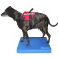 FitPAWS Balance-Polster für Haustiere 38x46x5 cm Blau FitPAWS Balance-Polster für Haustiere 38x46x5 cm Blau