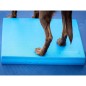 FitPAWS Balance-Polster für Haustiere 38x46x5 cm Blau FitPAWS Balance-Polster für Haustiere 38x46x5 cm Blau