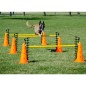 FitPAWS Hundesport-Set FitPAWS Hundesport-Set