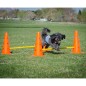 FitPAWS Hundesport-Set FitPAWS Hundesport-Set