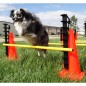 FitPAWS Hundesport-Set FitPAWS Hundesport-Set