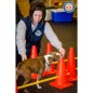 FitPAWS Hundesport-Set FitPAWS Hundesport-Set