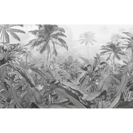 Komar Fototapete Amazonia Schwarz und Weiß 400x250 cm
