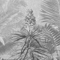 Komar Fototapete Amazonia Schwarz und Weiß 400x250 cm Komar Fototapete Amazonia Schwarz und Weiß 400x250 cm