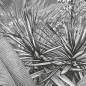 Komar Fototapete Amazonia Schwarz und Weiß 400x250 cm Komar Fototapete Amazonia Schwarz und Weiß 400x250 cm