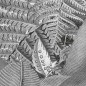 Komar Fototapete Amazonia Schwarz und Weiß 400x250 cm Komar Fototapete Amazonia Schwarz und Weiß 400x250 cm