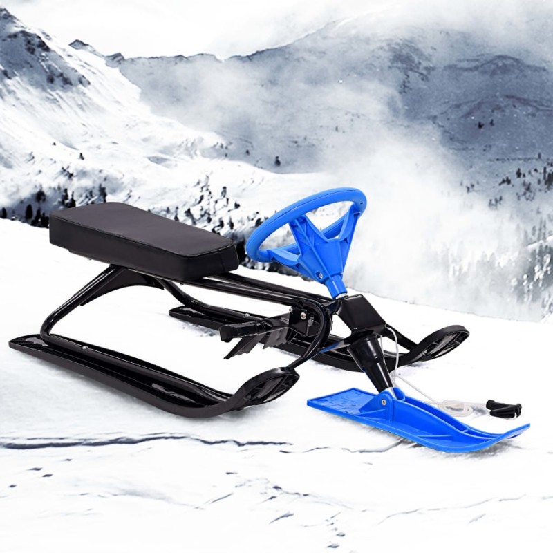 vidaXL Schlitten Bob Schwarz und Blau vidaXL Schlitten Bob Schwarz und Blau