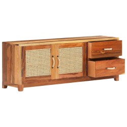 vidaXL TV-Schrank 120x30x45 cm Altholz Massiv