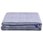 vidaXL Zeltteppich 250x250 cm Blau vidaXL Zeltteppich 250x250 cm Blau