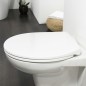 Tiger Toilettensitz Pasadena Thermoplast Weiß 250040646 Tiger Toilettensitz Pasadena Thermoplast Weiß 250040646